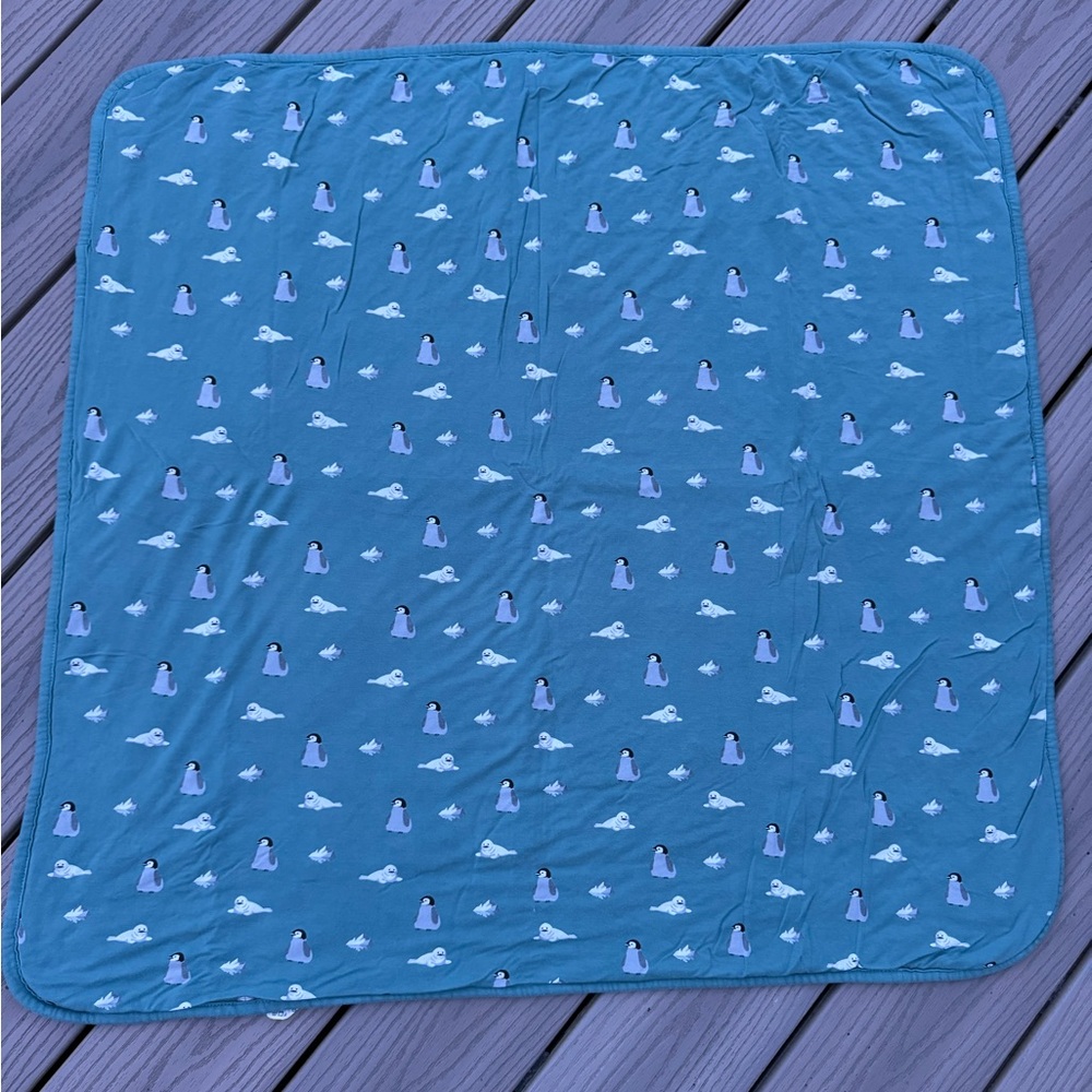 Kyte Cove Antarctic Baby Blanket
